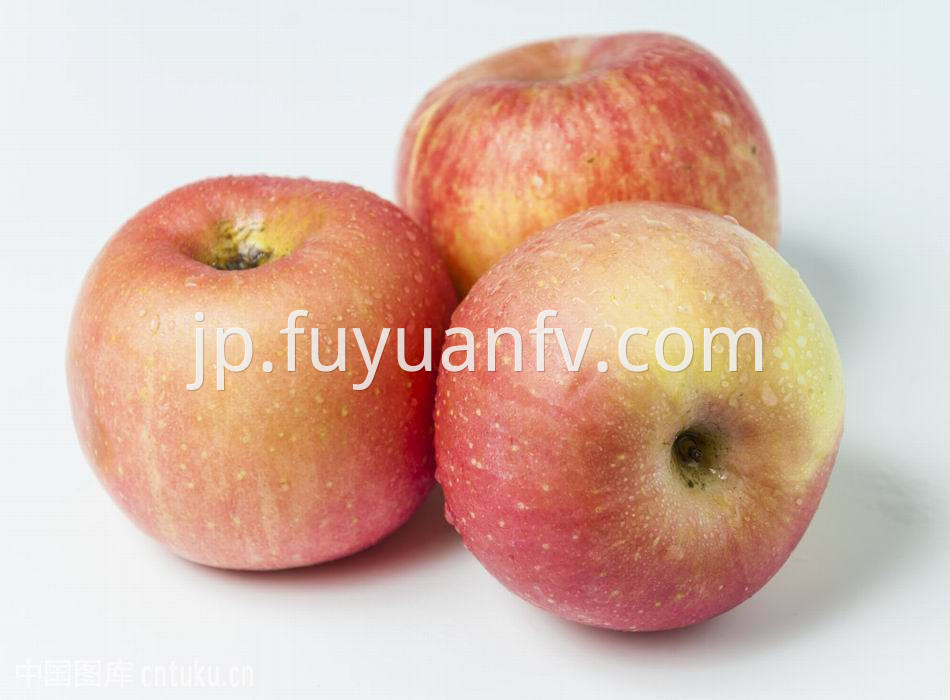 Fuji Apple 57